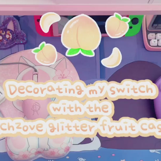 Nintendo switch protective case