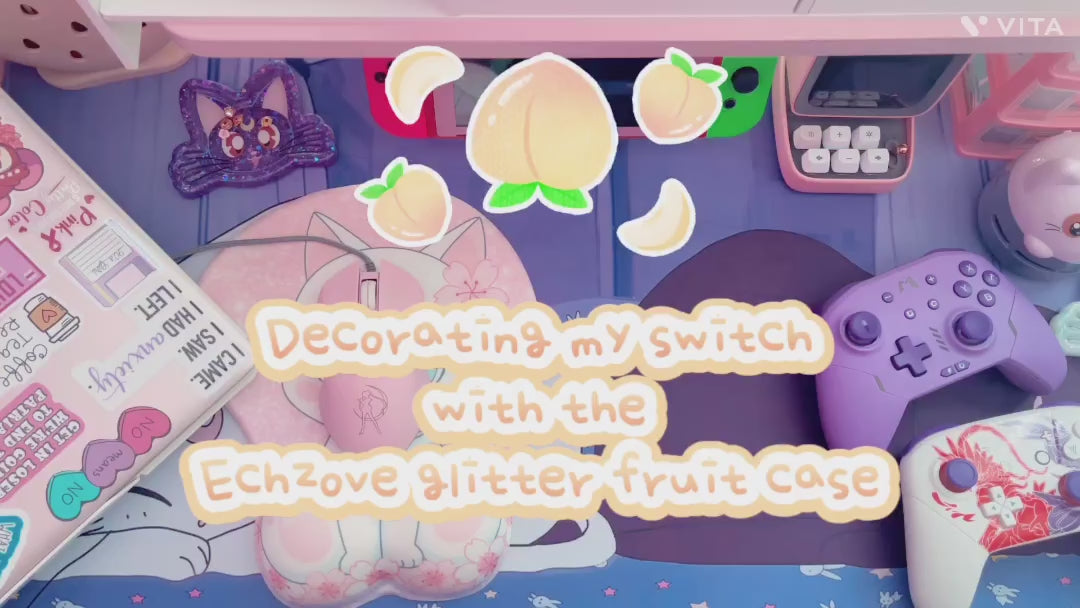 Nintendo switch protective case