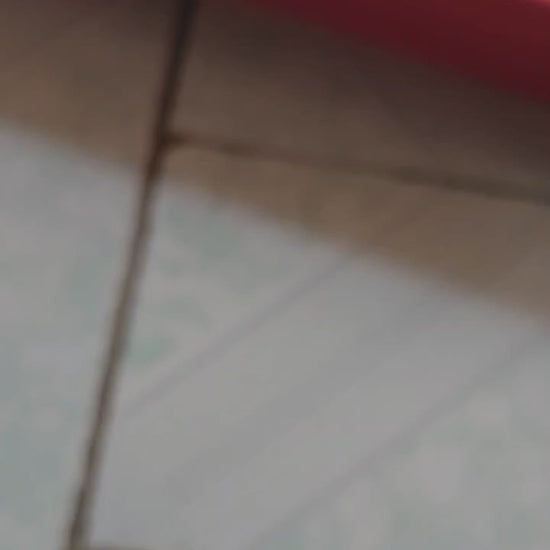 nintendo switch oled grip controller