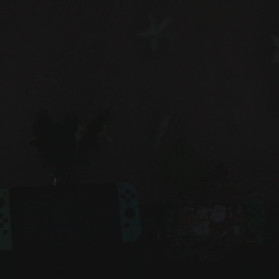 nintendo switch christmas case