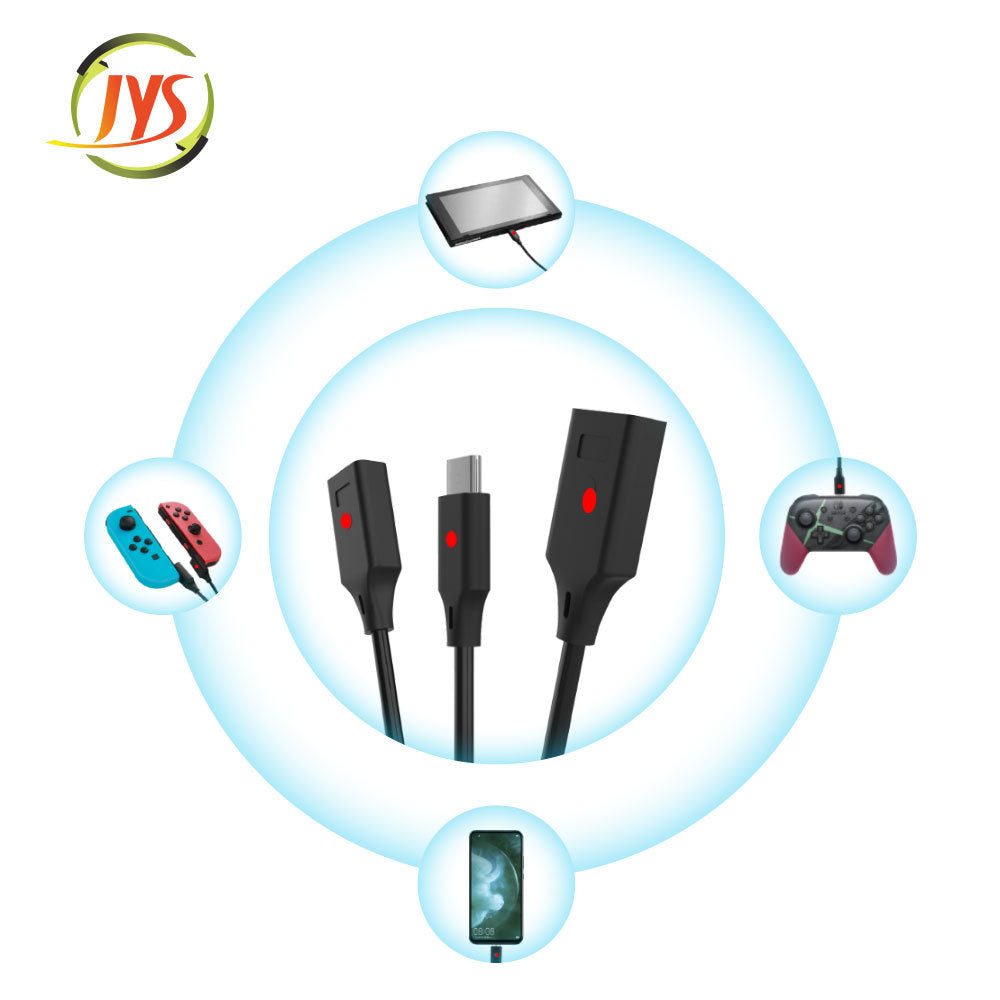 Multi Charger Cable for Nintendo Switch and Switch Joy-Con - 5.9 FT - ECHZOVE